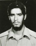 رضا عرب سرخی
