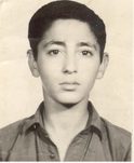 داود بیات