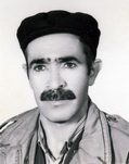 قدرت اله محمدی