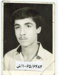 رضا بیات