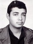 مهدی شاه صفی