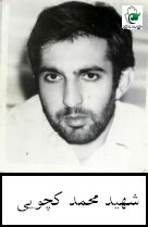 محمد کچوئی