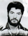 رضا مرادی