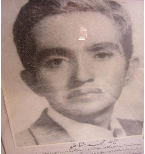 محمد شاملو