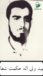 ولی اله حکمت شعار