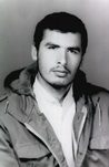 منوچهر(سیداحمد) پلارک