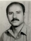 حکمعلی قره داغی
