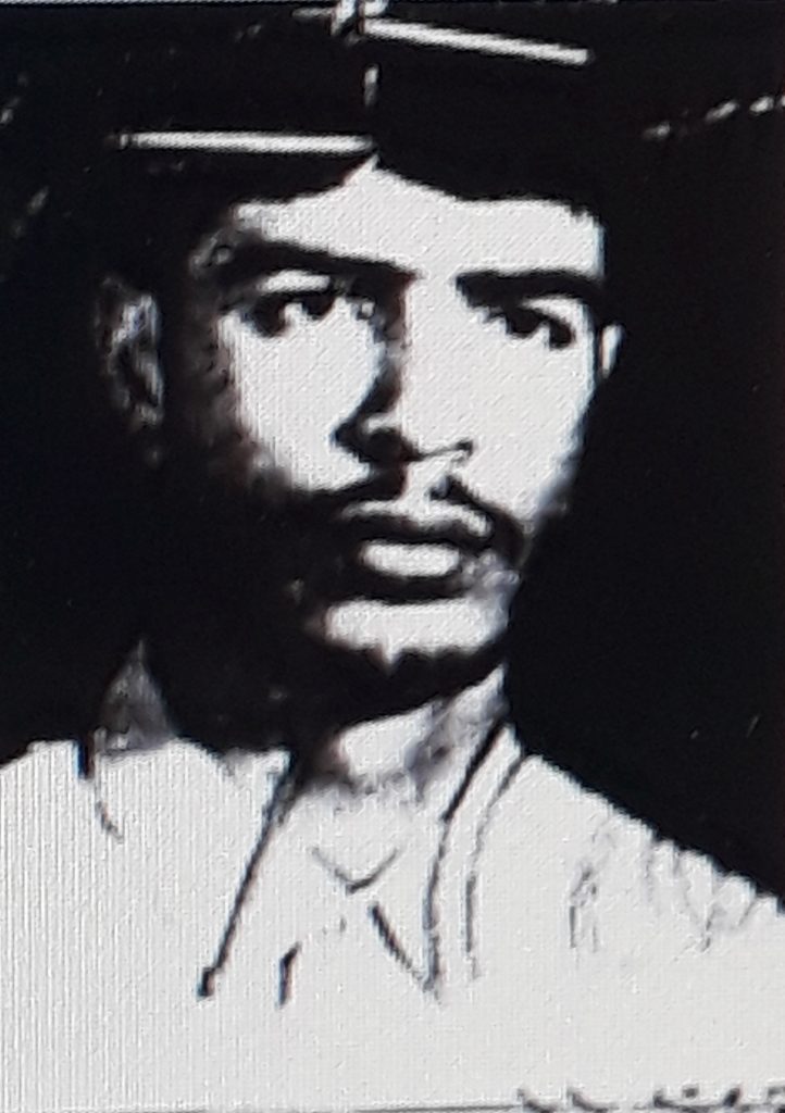 محمد سلطانی استرابادی
