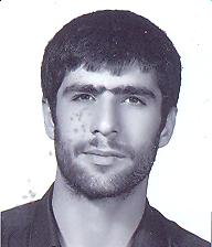 حمید حبیبی