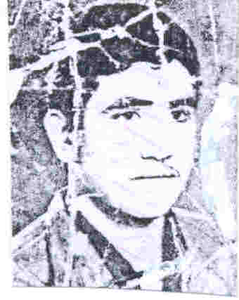محسن عشقی