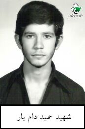 حمید دام یار