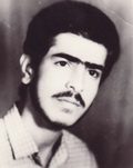 حمید میثاقی
