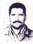 رضا بهرامی
