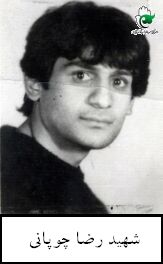 رضا چوپانی