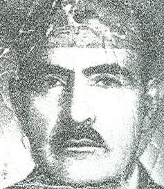 حسین رضا مسیبی
