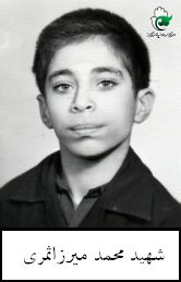محمد میرزاثمری