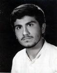 محمدرضا هنرمندهولیقی