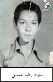رضا حسینی