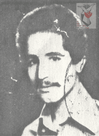 محمدرضا حاجی ربیع