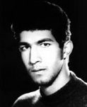 رضا شکری