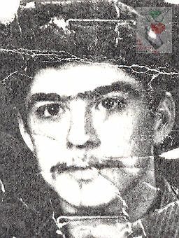 رضا میوه ای
