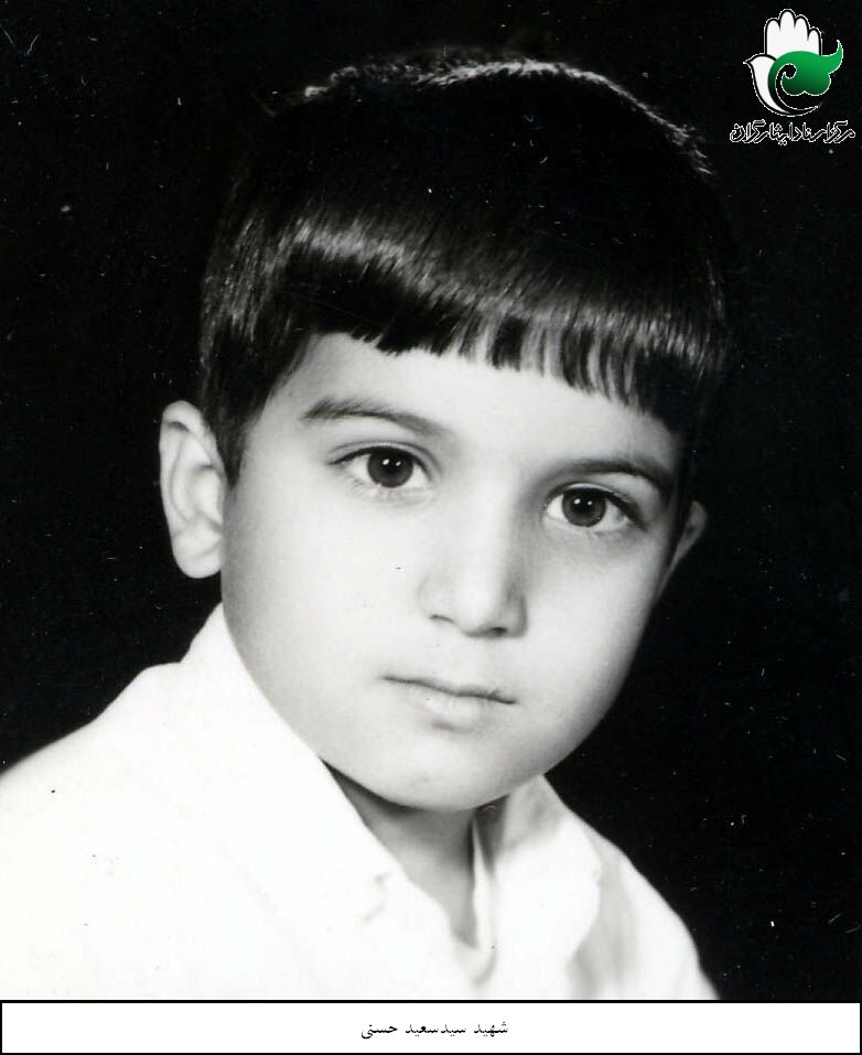 سیدسعید حسنی