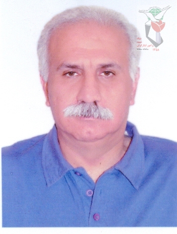 مرتضی شاهرخ نیا