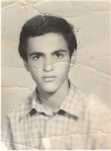 رضا رفیعی