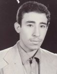 داود پریزن