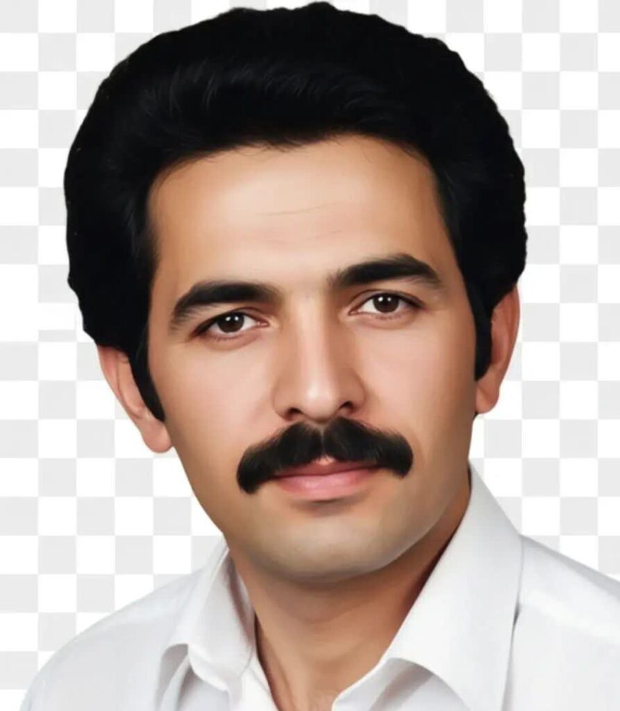 محمود سیدافیونی