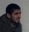 محمد امینی