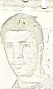 میرمحمد میرصالحی ترکی