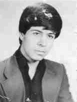 سیدمحمود حسینی تلکروی