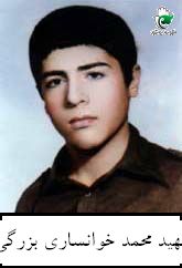 محمد خوانساری بزرگی
