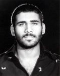 محمود نقیبی