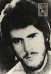 داود پروین آبادی