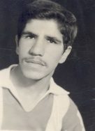 حمید آفرینی