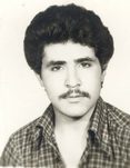 حسین شجاعی نیری