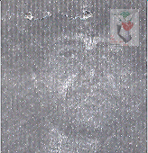 ابراهیم حیدری نیکی کنه