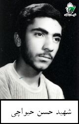 حسن حیواچی