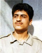 امیرهوشنگ امینی سرور
