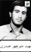 منوچهر حیدری