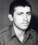 حمید قشقائی