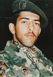 سیدسیامک مرتضوی