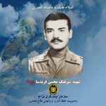 محسن فریدسا