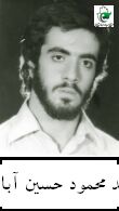 محمود حسین آبادی