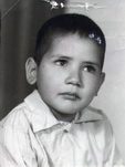 محمد صفایی