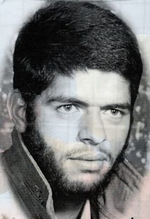 محمود مفید