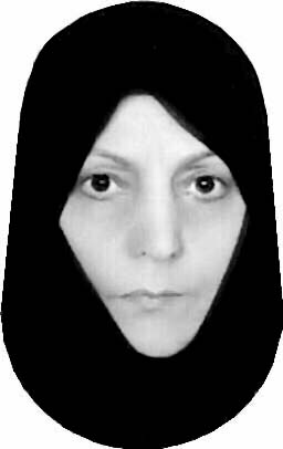 سرور برومندچوکامی