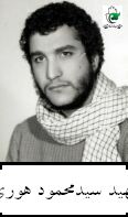 سیدمحمود هوری